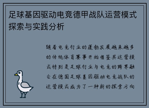 足球基因驱动电竞德甲战队运营模式探索与实践分析